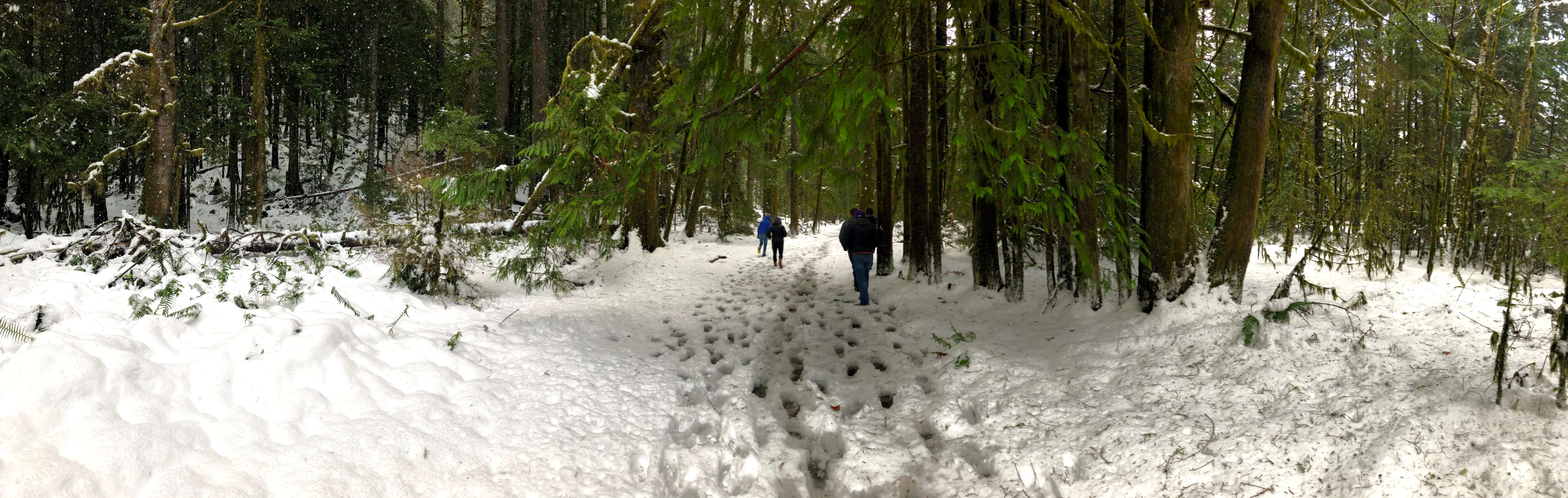 Snowy Hike